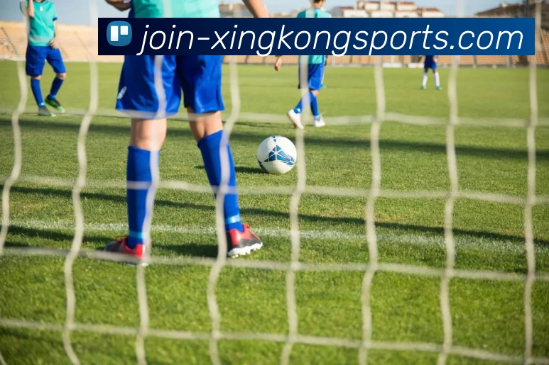 星空体育app发展历程